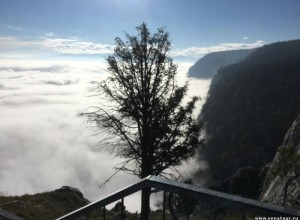 Экскурсия в Альпы на один день